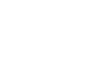 The Retail Finance